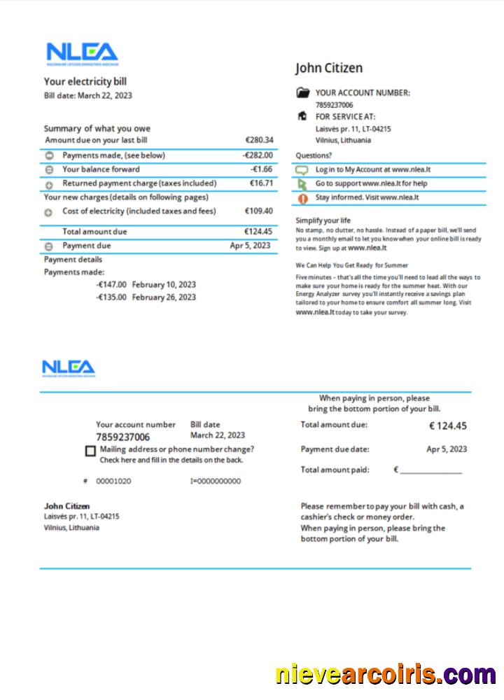 Lithuania National Lithuanian Energy Association utility bill